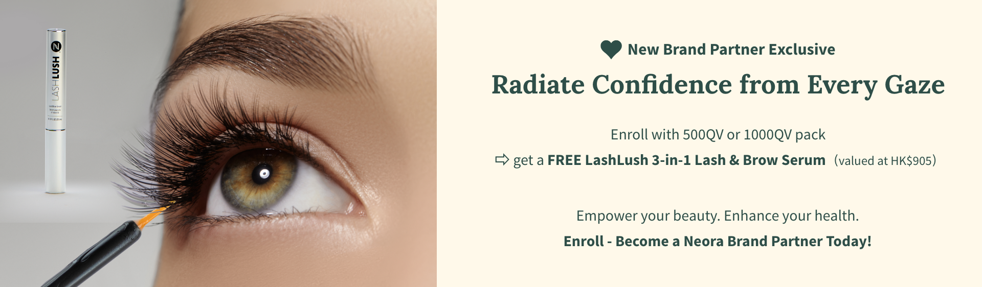 New BP Enrollment Jan 2026