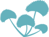 gotu-kola_icon