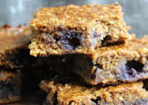 NeoraFit Blueberry Protein Powder Bars