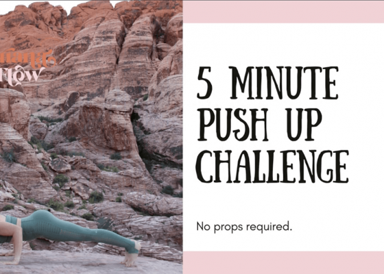 5 Minute Push Up Challenge featuring Adriana Lee
