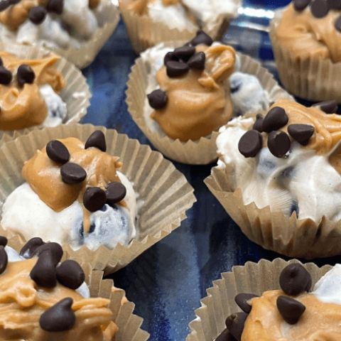 Peanut Butter Protein Blueberry Bite | Neora Blog