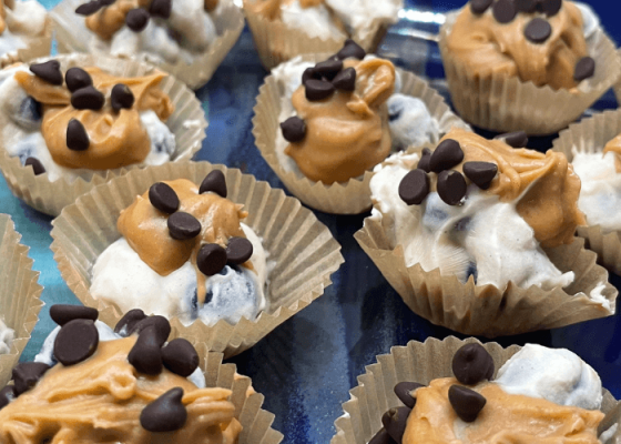 Peanut Butter Protein Blueberry Bite