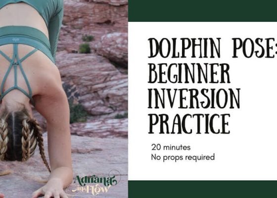 Beginner Inversions Dolphin Pose Practice with Adriana Lee