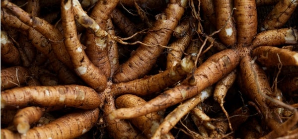 Forskohlii Root