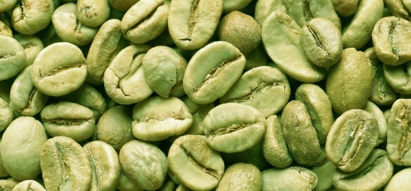 Green Coffee Bean