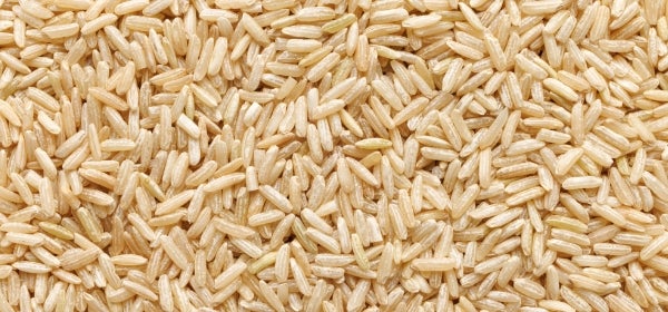 Organic Brown Rice Protein