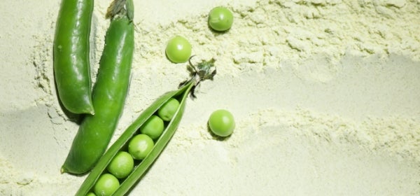 Pea Protein