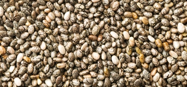 Organic Chia Seed Protein