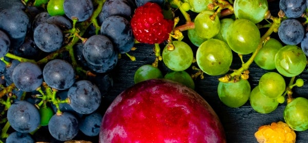 Resveratrol