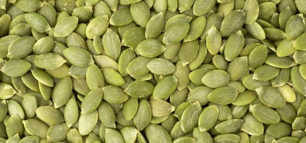 Organic Pumpkin Seed Protein