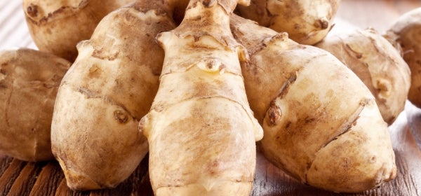 Prebiotic Blend