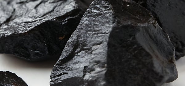 PrimaVie Shilajit