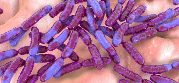 Probiotic Blend