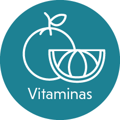 icono de frutas con texto de vitaminas.