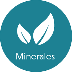 icono de planta con texto minerales